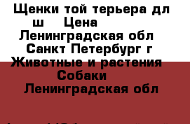 Щенки той терьера дл.ш. › Цена ­ 30 000 - Ленинградская обл., Санкт-Петербург г. Животные и растения » Собаки   . Ленинградская обл.
